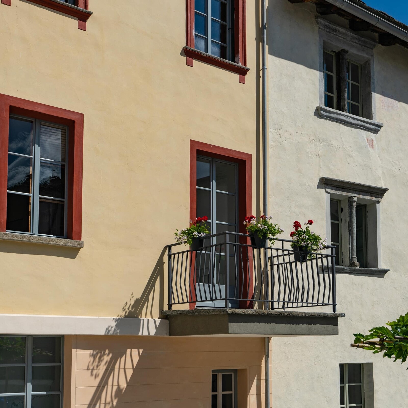 pola sponsorizzazioni 2 daffe